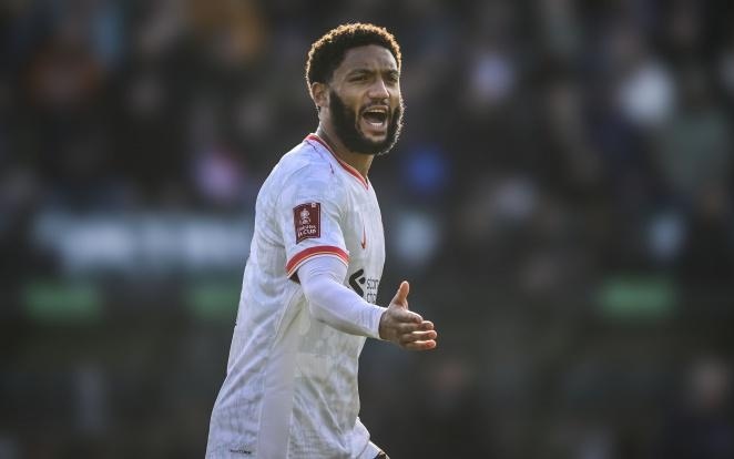 多样性成为 多样性成为