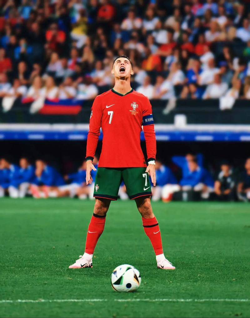 奥洛的组织 奥洛的组织