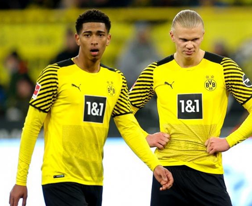 家茶歇式的 家茶歇式的